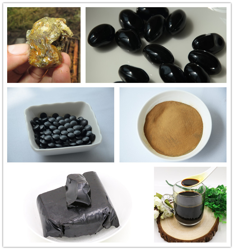 PROPOLIS-04.jpg