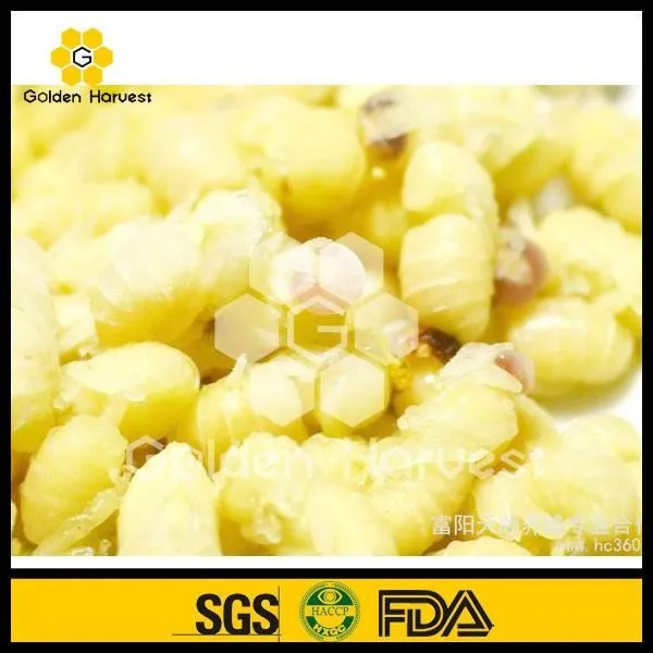 Lyophilized Drone Pupa Powder